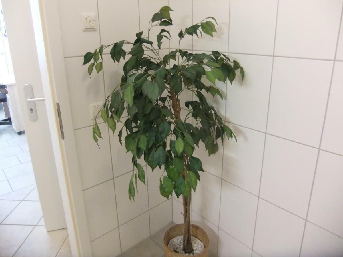 Appartement Beautiful Im Zentrum Von *